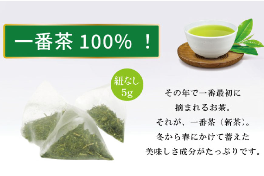 お茶 ティーバッグ 特撰 みやざき煎茶 10袋 セット [谷岩茶舗 宮崎県 日向市 452061644] ティーパック 茶 茶葉 緑茶 新茶 お茶の葉