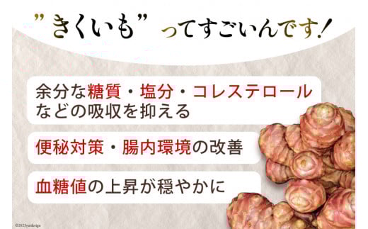 【定期便 6回】菊芋 《日向市産》有機JAS認証 菊芋(きくいも) パウダー 2袋× 6回 [増田園芸 宮崎県 日向市 Z84-01] イヌリン 赤菊芋 長期保存 便秘 腸内環境 食物繊維