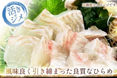 魚 黄金ひらめの活きジメ 1尾 [あゆの是則 宮崎県 日向市 452060877] 魚 魚介 鮮魚 活 ひらめ ヒラメ 平目