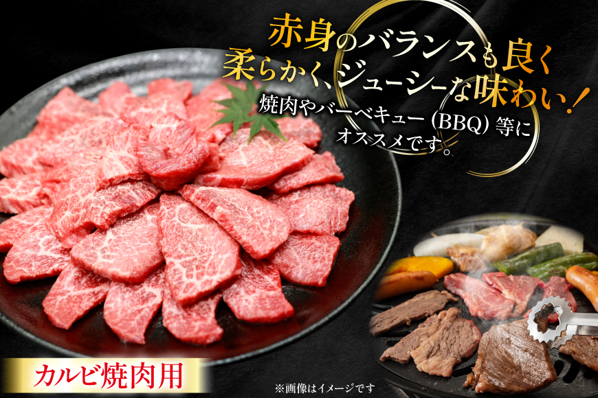 ※廃番※牛肉 宮崎牛 カルビ 焼肉用 500g 2p 計 1kg [ローカルブランディング 宮崎県 日向市 452061414] 冷凍 小分け 黒毛和牛 黒毛 A4 A5 焼肉 焼き肉 BBQ バーベキュー 国産