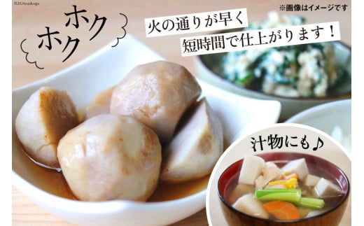 【期間限定発送】 里芋 赤芽 2kg [甲斐自然派農園 宮崎県 日向市 452060525] さといも ホクホク