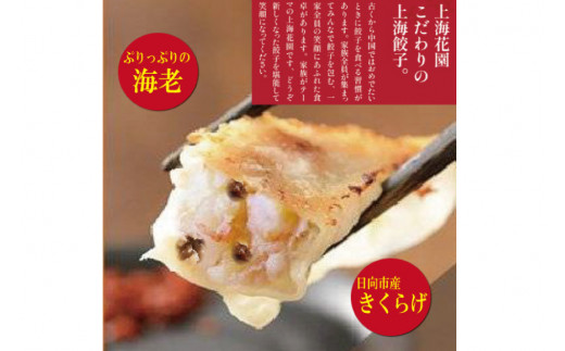 海老餃子 きくらげ入り 10×3 計30個 [サニーガーデン 宮崎県 日向市 452060640] 加工品 惣菜 エビ餃子 冷凍 餃子 ぎょうざ ギョウザ
