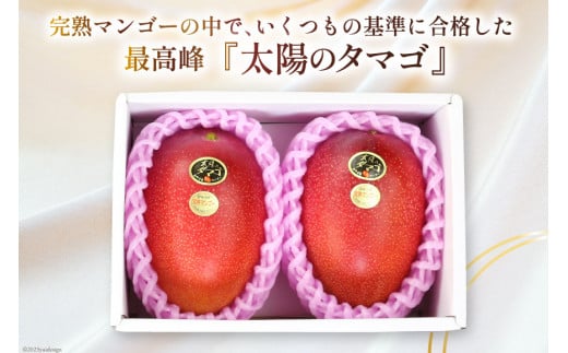 【2026年夏発送】 宮崎 完熟 マンゴー 太陽のタマゴ 秀品 900g以上 [宮崎県農業協同組合日向地区本部（販売課） 宮崎県 日向市 452060664] 果物 フルーツ 完熟マンゴー 甘い 日向 期間限定 冷蔵