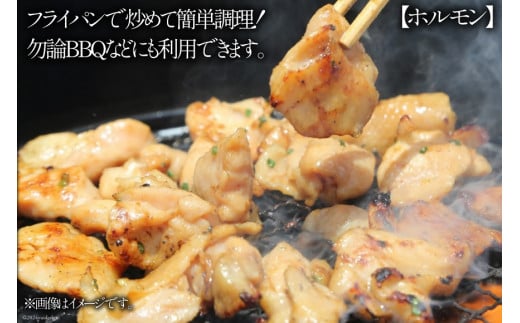 豚肉 もつ ハラミ 食べ比べ セット 300g×各5袋 計3kg [甲斐精肉店 宮崎県 日向市 452060717] 肉 お肉 豚 ホルモン 九州産 冷凍 真空 モツ 豚モツ 焼肉 BBQ