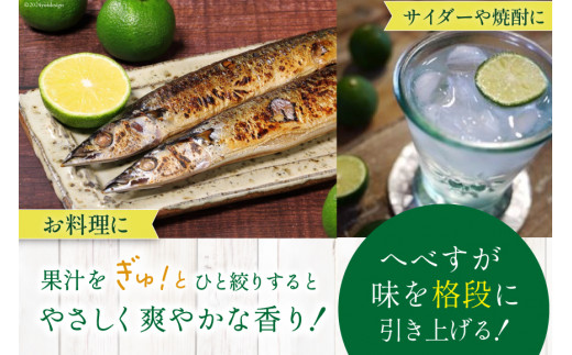 【期間限定発送】 へべす ひなたGAP認定 ふぞろい 2kg [へべすの悠美園 宮崎県 日向市 452060725] ヘベス 宮崎 果物 フルーツ くだもの 柑橘 ポン酢 調味料 果汁