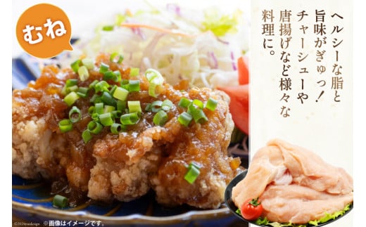 肉 鶏肉 宮崎県産若鶏 鶏肉バラエティーセット3kg [アイフーズ 宮崎県 日向市 452060754] 冷凍 小分け もも肉 モモ肉 むね肉 ムネ肉 ささみ ササミ