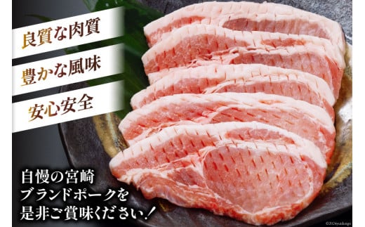 豚肉 小分け 宮崎ブランドポーク ロース トンテキ とんかつ カット 1kg [ウィズ・クリエイティブ 宮崎県 日向市 452060771] 冷凍 豚 個包装 トンカツ 真空 宮崎
