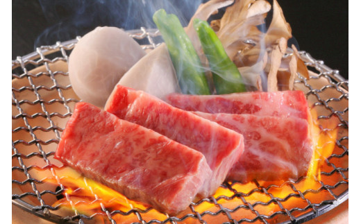 牛肉 宮崎牛 A4 A5 等級 ロース ステーキ 400g 200g×2p [日本ハムマーケティング 宮崎県 日向市 452060782] 冷凍 個包装 小分け 牛 ブランド牛 霜降り ステーキ肉