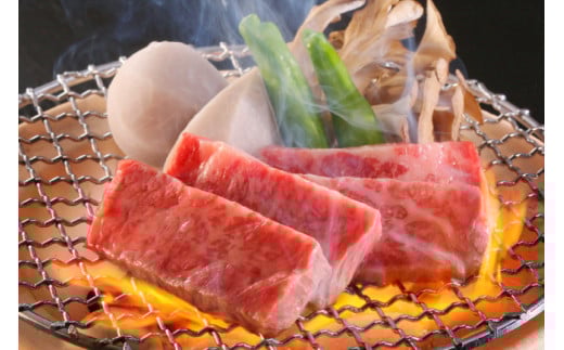 牛肉 宮崎牛 A4 A5 等級 ロース 厚切り ステーキ 300g [日本ハムマーケティング 宮崎県 日向市 452060784] 冷凍 牛 ブランド牛 霜降り ステーキ肉