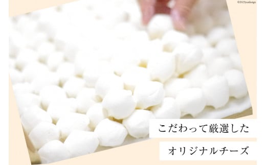 SEIKADOがお届けするオリジナル4種のチーズまんじゅうセット [Sweets cafe SEIKADO 宮崎県 日向市 452060813] 菓子 お菓子 スイーツ 饅頭