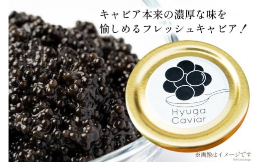 キャビア 日向キャビア (Hyuga Caviar) 10g 箱なし [ウィズ・クリエイティブ 宮崎県 日向市 452060889] 冷凍 宮崎 国産 チョウザメ フレッシュ 瓶