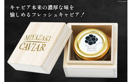 キャビア 日向キャビア (Hyuga Caviar) 20g 桐箱入り [ウィズ・クリエイティブ 宮崎県 日向市 452060892] 冷凍 宮崎 国産 チョウザメ フレッシュ 瓶