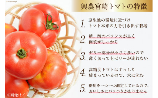 ゼリー 日向の雫 たっぷりトマトのプレミアムゼリー 130g×12個 [興農宮崎 宮崎県 日向市 452060901] 完熟 トマト 食塩不使用 無塩 国産