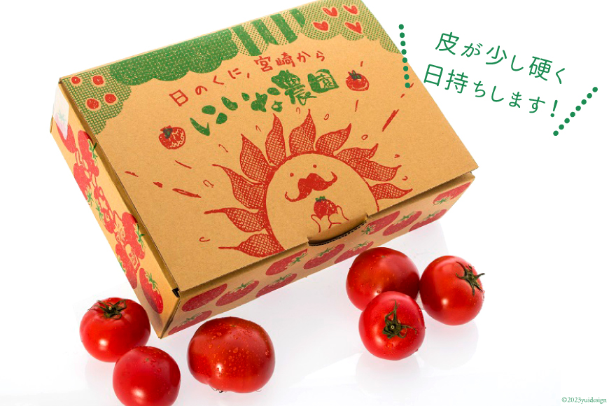 【期間限定発送】 トマト SUNすいーと 1.5kg×1箱 [にいな農園 宮崎県 日向市 452060918] 野菜 フルーツトマト 高糖度 甘い