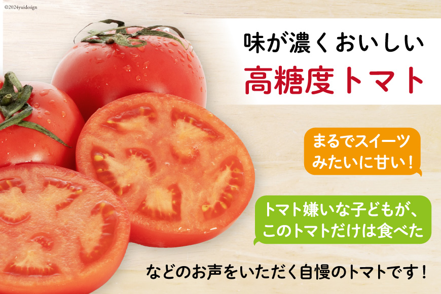 【期間限定発送】 トマト こだわりのホントに美味しい 高糖度トマト 1.5kg [奈須農園 宮崎県 日向市 452060934] 野菜 とまと ソプラノ 高糖度 甘い 産地直送 不揃い 家庭用