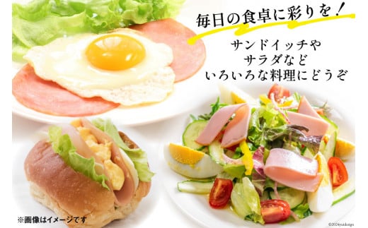 日本ハム ハム ロースハム 104g×10P 計1.04kg [日本ハムマーケティング 宮崎県 日向市 452060951] お肉 豚肉 豚 日本ハム ニッポンハム 冷蔵 小分け