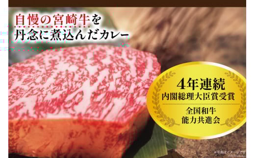 カレー レトルト 宮崎牛カレー 160g×12食 [九州産商 宮崎県 日向市 452061047] 詰め合わせ 小分け ビーフカレー 宮崎 牛 常備食 保存食 中辛 宮崎牛 防災 備蓄