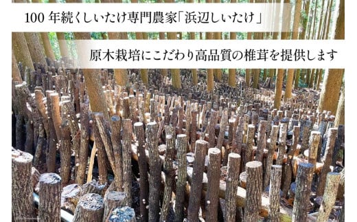 訳あり しいたけ 乾燥 原木乾燥しいたけ 500g [浜辺しいたけ 宮崎県 日向市 452061051] 椎茸 原木 干ししいたけ