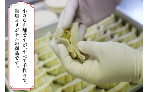 餃子 宮崎牛の餃子 15個入 ×4p 計 60個 [餃子の里 宮崎県 日向市 452061059] 宮崎 ぎょうざ 冷凍 宮崎牛