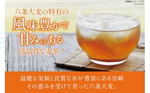 お茶 六条麦茶 ( 10g 20包 ) 10袋 [日向百生会 宮崎県 日向市 452061128] 麦茶 むぎ茶 水出し 煮出し ティーバッグ 国産 ノンカフェイン