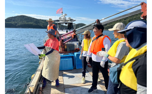 体験 日向灘細島港 定置網漁 体験チケット 貸切プラン [高田屋 宮崎県 日向市 452061158] 漁 定置網 漁師体験 九州 宮崎 日向
