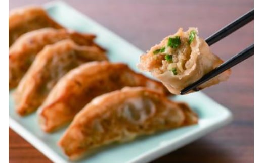 餃子 宮崎 上海花園 特製餃子 36個 [サニーガーデン 宮崎県 日向市 452061171] ぎょうざ 冷凍 おかず おつまみ 惣菜 ご飯のお供 小分け 個包装