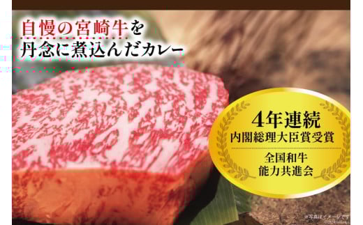 カレー 3回 定期便 レトルト 宮崎牛カレー 160g 12袋 総計36袋 [九州産商 宮崎県 日向市 452061182] 小分け ビーフカレー 宮崎 牛 常備食 保存食 中辛 宮崎牛 備蓄