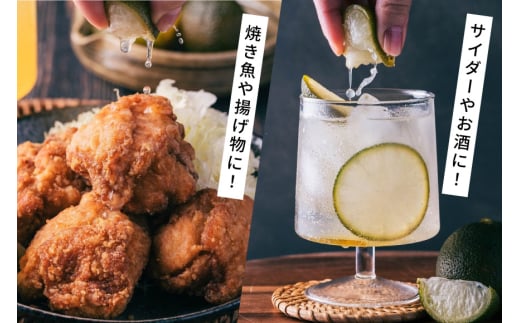 へべす 100% 果汁 2本 醤油 1本 計3本 セット [ひむか農園 宮崎県 日向市 452061201] ヘベス しょうゆ 調味料 柑橘