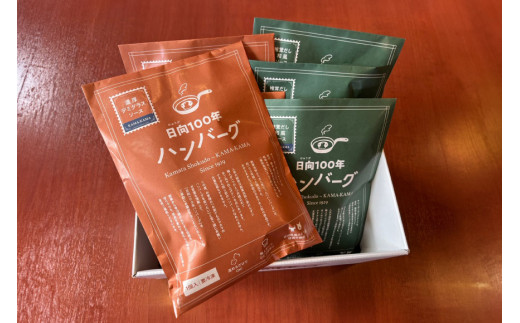 日向100年ハンバーグ (デミグラス・和風) 2種×3 計6個 [サニーガーデン 宮崎県 日向市 452061263] 加工品 惣菜 個包装 レンジ 簡単 冷凍