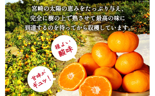 【期間限定発送】 みかん 5kg コクのある甘さ うまぁ〜い！！青島晩生温州みかん S・M・L いずれか [黒田農園 宮崎県 日向市 452061304] 果物 フルーツ ミカン 蜜柑 柑橘