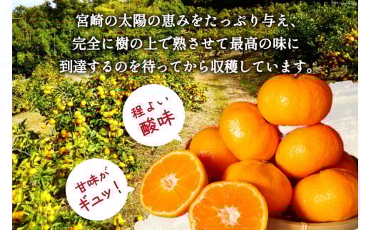 【期間限定発送】 みかん 10kg コクのある甘さ うまぁ〜い！！青島晩生温州みかん S・M・Lいずれか [黒田農園 宮崎県 日向市 452061305] 果物 フルーツ ミカン 蜜柑 柑橘 贈答用