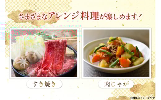 牛肉 宮崎県産 黒毛和牛 赤身 スライス 切り落とし 250g 6p 計1.5kg セット [TRINITY 宮崎県 日向市 452061320] すき焼き 冷凍 小分け 黒毛 霜降り 牛 和牛