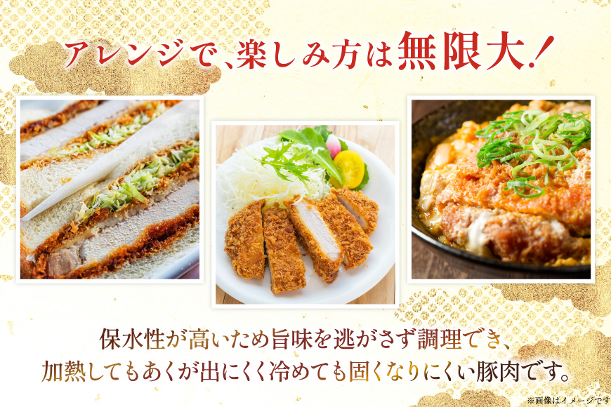 豚肉 宮崎県産豚肉 ロースカツ用 1kg ヒレカツ用 300g 詰め合わせ セット [TRINITY 宮崎県 日向市 452061324] 小分け 冷凍 豚 とんかつ ロースカツ お弁当 おかず