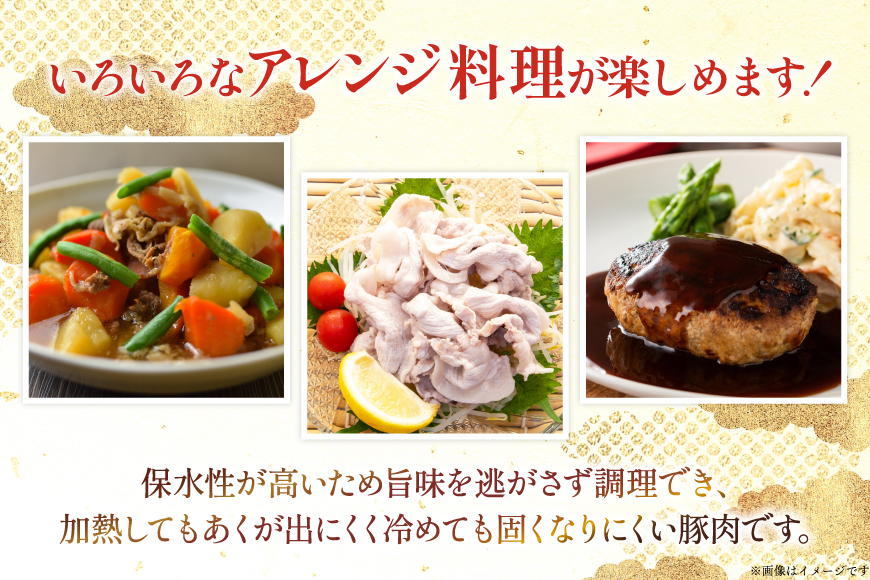 豚肉 宮崎県産豚肉 3.8kg 詰め合わせ セット [TRINITY 宮崎県 日向市 452061327] 小分け 豚 肉 宮崎 ロース スライス 豚バラ とんかつ 切り落とし ミンチ 豚ミンチ ひき肉 真空パック