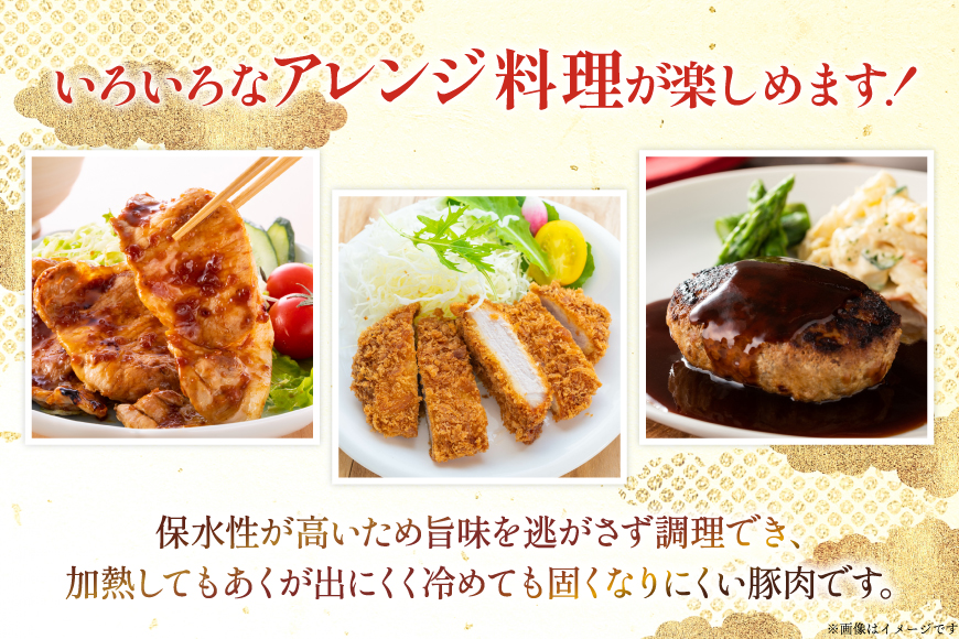 豚肉 宮崎県産豚肉 3kg 詰め合わせ セット [TRINITY 宮崎県 日向市 452061329] 小分け 豚 肉 宮崎 ロース スライス 豚バラ とんかつ 切り落とし ミンチ 豚ミンチ ひき肉 真空パック