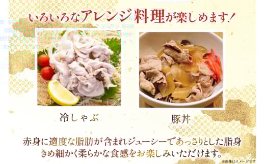 豚肉 宮崎県産 豚バラ しゃぶしゃぶ用 300g 4p 計 1.2kg セット [TRINITY 宮崎県 日向市 452061331] 冷凍 小分け しゃぶしゃぶ スライス 豚バラ肉 宮崎 豚バラ薄切り 薄切り