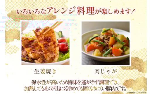 豚肉 小分け 宮崎県産豚肉 切り落とし 250g 14袋 計3.5kg セット [TRINITY 宮崎県 日向市 452061332] 真空パック こま切れ 宮崎 切落し 冷凍 細切れ ぶた こま切れ 小間切れ 肉