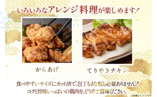 鶏肉 もも 宮崎県産 若鶏 もも切身 300g 10p 計 3kg セット [TRINITY 宮崎県 日向市 452061351] もも肉 小分け 鶏肉もも 宮崎 真空パック モモ モモ肉 冷凍 肉