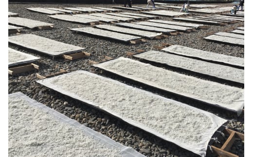 ちりめん 宮崎県産 無添加 ちりめんじゃこ 120g 3p 計360g [幸脇漁業生産組合 宮崎県 日向市 452061353] じゃこ 国産 しらす干し 小分け ジャコ 保存料不使用