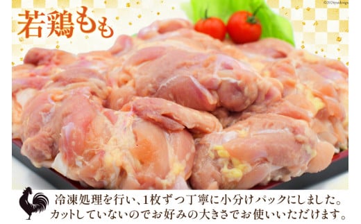 宮崎県産若鶏もも 2kg [エム・ティ・シー 宮崎県 日向市 452061358] 鶏肉 もも肉 小分け モモ肉 冷凍 九州 鳥肉 国産 肉