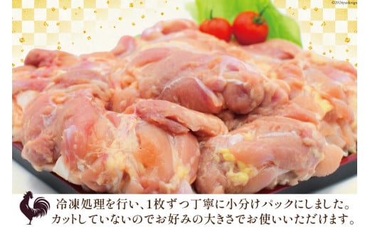 鶏肉 3回 定期便 宮崎県産 若鶏 もも 2kg [エム・ティ・シー 宮崎県 日向市 452061367] 小分け モモ もも肉 モモ肉 冷凍 肉 宮崎