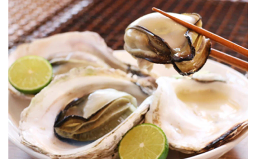 【期間限定発送】岩牡蠣 殻付き 細島 岩ガキ 約2kg 日向特産 へべす 200g セット [道の駅日向 宮崎県 日向市 452061389] いわがき 岩がき 牡蠣 日豊海岸 濃厚 クリーミー