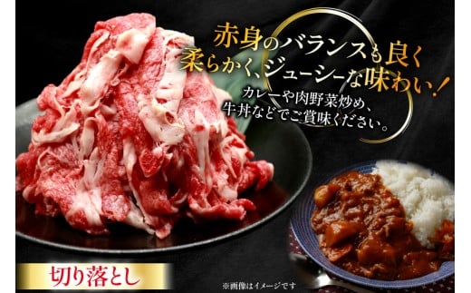 牛肉 宮崎牛 切り落とし 500g 4p 計 2kg [ローカルブランディング 宮崎県 日向市 452061410] 冷凍 小分け 黒毛和牛 黒毛 A4 A5 切落し 国産