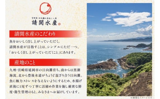 刺身 柵 カンパチ 真鯛 少量贅沢 食べ比べ セット [請関水産 宮崎県 日向市 452061438] 冷蔵 詰め合わせ 鯛 真鯛 タイ 個包装