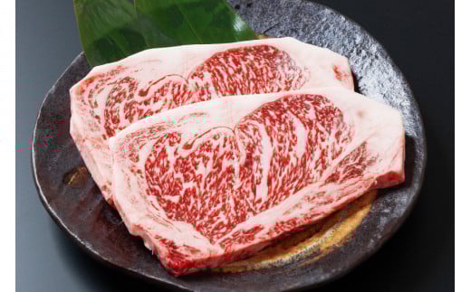 牛肉 黒毛和牛 宮崎産 サーロインステーキ(250g×2枚) 計500g [ウィズ・クリエイティブ 宮崎県 日向市 452061463] 和牛 肉 ステーキ サーロイン 冷凍 真空パック