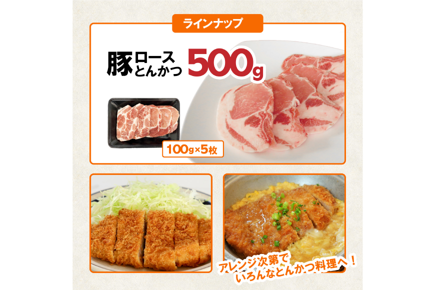 豚肉 詰め合わせ 宮崎県産豚肉 バラエティ セット 5種 4kg [南九フーズ 宮崎県 日向市 452061516] トンカツ とんかつ バラ 切り落とし しゃぶしゃぶ ロース スライス 豚こま 小間切れ ミンチ ひき肉