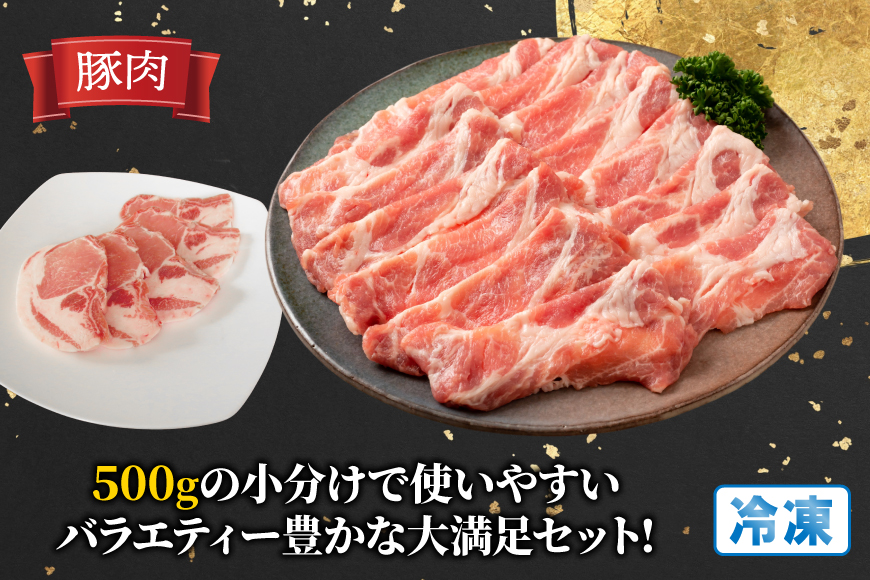豚肉 鶏肉 宮崎県産 豚 鶏 6回 定期便 [南九フーズ 宮崎県 日向市 452061540] 切り落とし 小分け ロース とんかつ もも もも肉 鶏もも 鶏もも肉