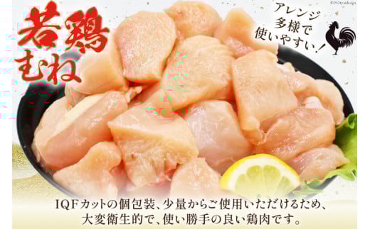 鶏肉 6回 定期便 むね 宮崎県産 若鶏 ムネ肉 250g ×12袋 計 3kg×6回 [九州児湯フーズ宮崎支店 宮崎県 日向市 452061554] 小分け 冷凍 むね肉 国産