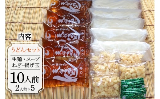 うどん 生麺 天領うどん つゆ ねぎ 揚げ玉 付き 10人前 セット [天領うどん本店 宮崎県 日向市 452061556] ウドン 釜揚げ 釜揚げうどん