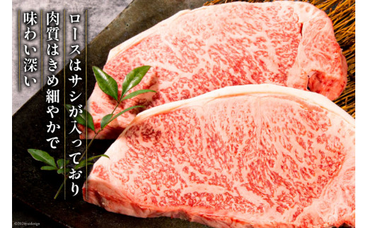 【最上等級使用！】 牛肉 宮崎牛 ロース ステーキ 250g × 5枚 計1.25kg [ミヤチク 宮崎県 日向市 452061579] 小分け 個包装 和牛 黒毛和牛 ブランド牛 冷凍 4等級 5等級